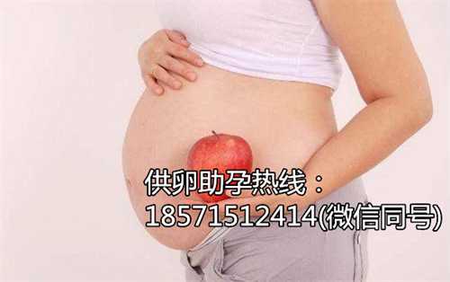 广州代怀代怀产子价格，乳腺囊肿与乳腺纤维瘤的区别